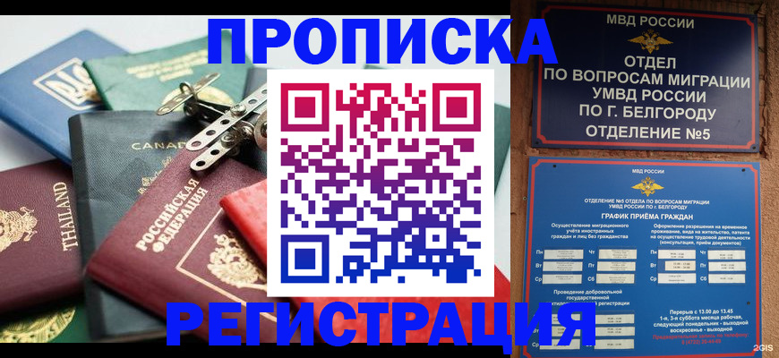 временная регистрация недорого в Заволжске